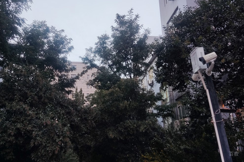 学校相册