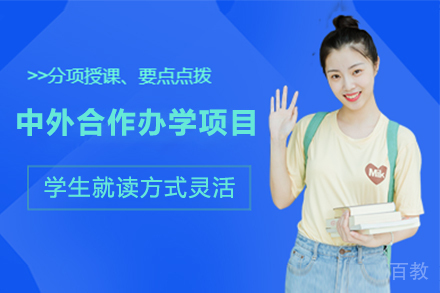 中外合作办学项目