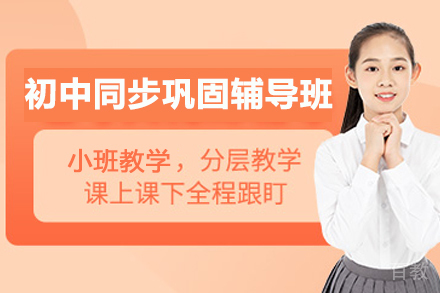 南京初中同步巩固辅导班