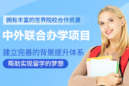 中外联合办学项目