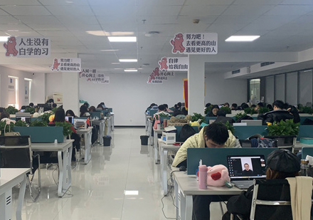 北京羊驼教育线下校区学员上课场景展示