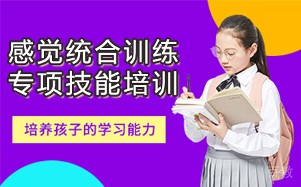 感觉统合训练专项技能培训