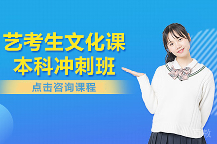 艺考生文化课本科冲刺班