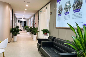 学校植物