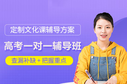 高考一对一辅导班