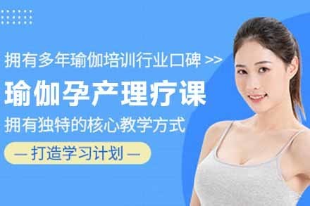 瑜伽理疗师孕产全理疗课