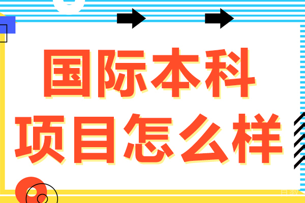上海国际本科项目怎么样 