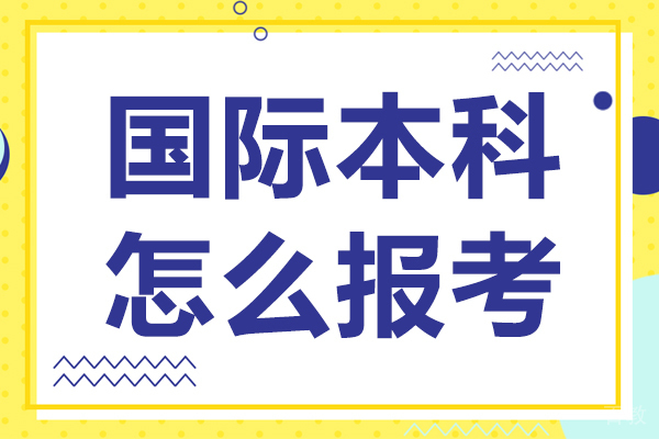 国际本科怎么报考-国际本科一般多少钱