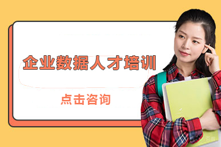 企业数据人才培训