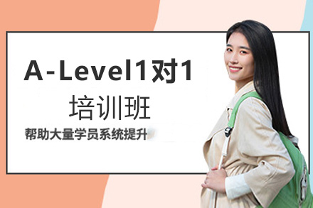 西安A-Level1对1暑期培训班