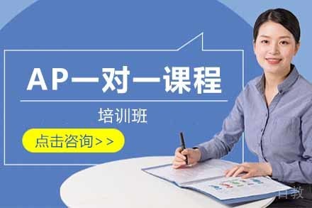 AP一对一课程