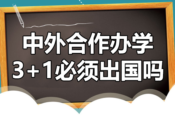 《中外合作办学3+1必须出国吗》 