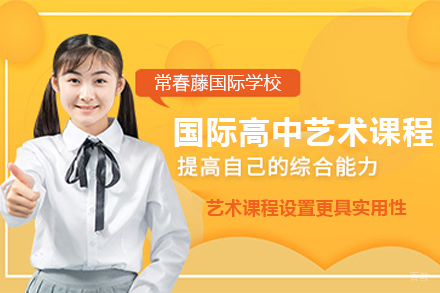杭州国际高中艺术课程