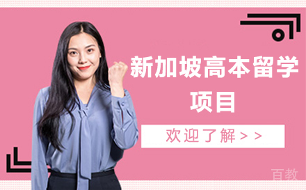 新加坡高本留学项目