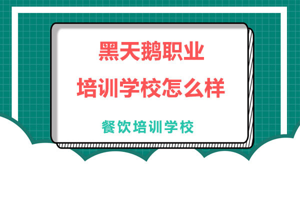 哈尔滨黑天鹅职业培训学校怎么样 