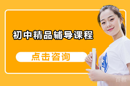 初中精品辅导课程