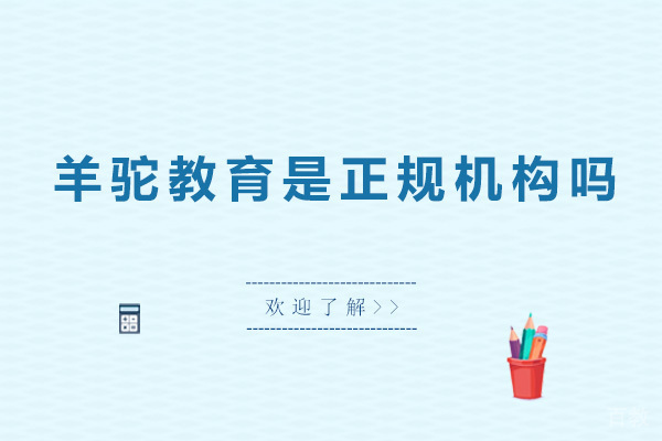 长春羊驼教育是正规机构吗 
