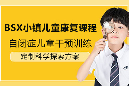 宁波BSX小镇儿童康复课程