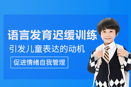 儿童语言发育迟缓康复训练