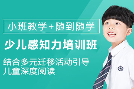 石家庄少儿感知力培训班