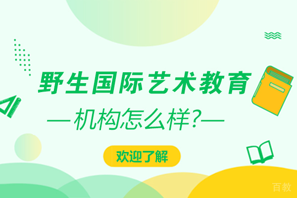 天津野生国际艺术教育怎么样
