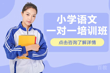 上海小学语文一对一培训班