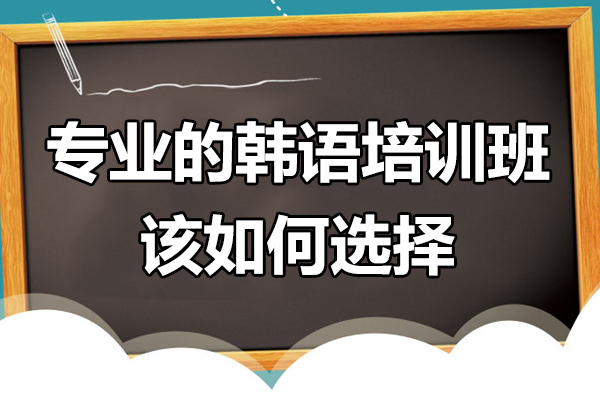 上海专业的韩语培训班该如何选择 