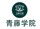 广州亚加达国际预科青藤学院