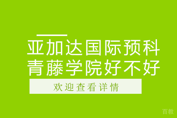 广州亚加达国际预科青藤学院好不好