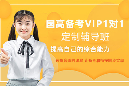 杭州国高备考VIP1对1定制辅导班