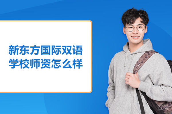 北京新东方国际双语学校师资力量深度解析 