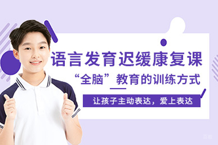 儿童语言发育迟缓康复训练课程