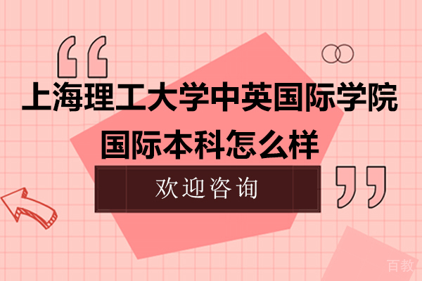 上海理工大学中英国际学院国际本科怎么样 