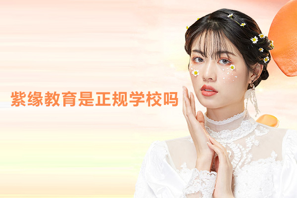 合肥紫缘教育是正规学校吗 