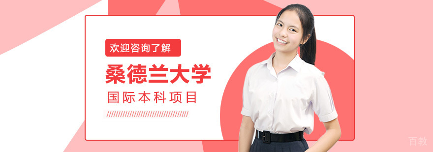 中外合作办学项目