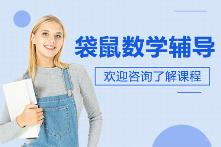 袋鼠数学辅导课程