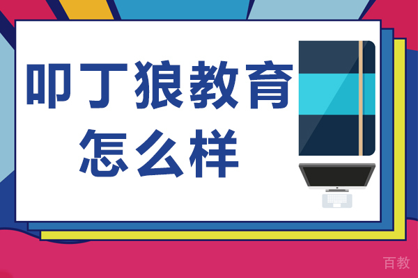上海叩丁狼教育怎么样 