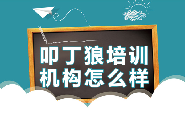 叩丁狼培训机构怎么样-叩丁狼IT培训学校 