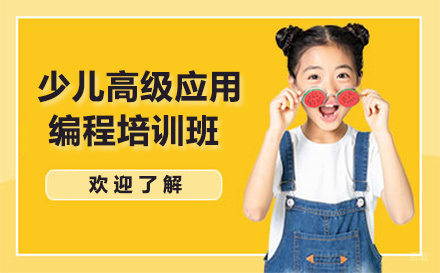 大连少儿高级应用编程培训班