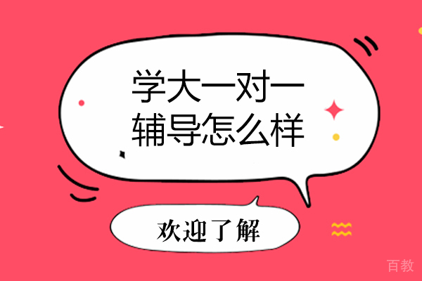 呼和浩特学大一对一辅导怎么样 