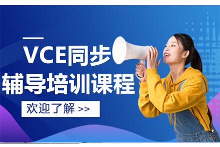 广州VCE同步辅导培训课程