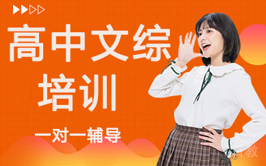 高中文综培训