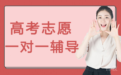 昆明高考志愿一对一辅导