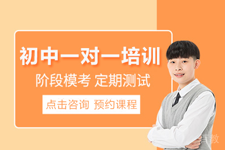 初中一对一培训班