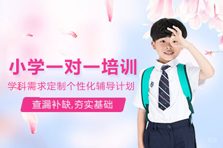 小学一对一培训班