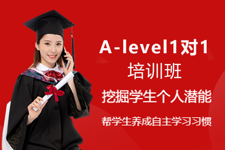 天津A-level1对1培训班