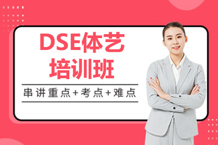 深圳DSE体艺培训班