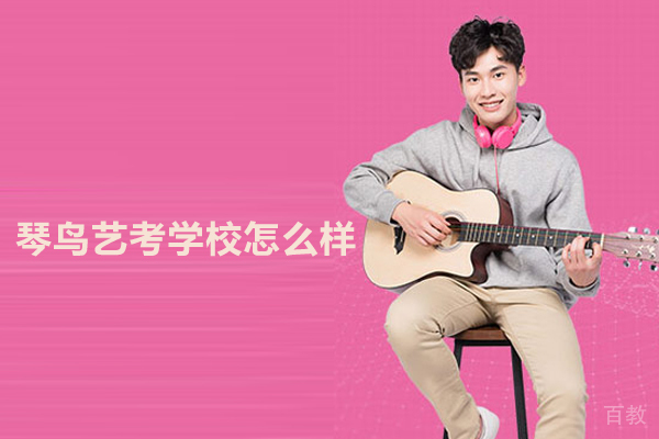武汉琴鸟艺考学校怎么样 