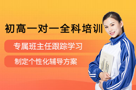 重庆初高一对一全科培训