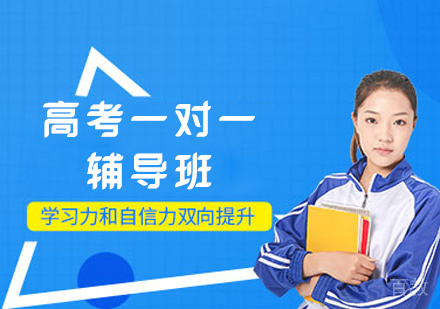 郑州高考一对一辅导班
